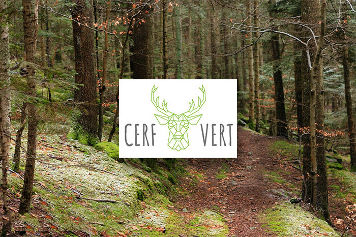 Cerf Vert - groupement forestier