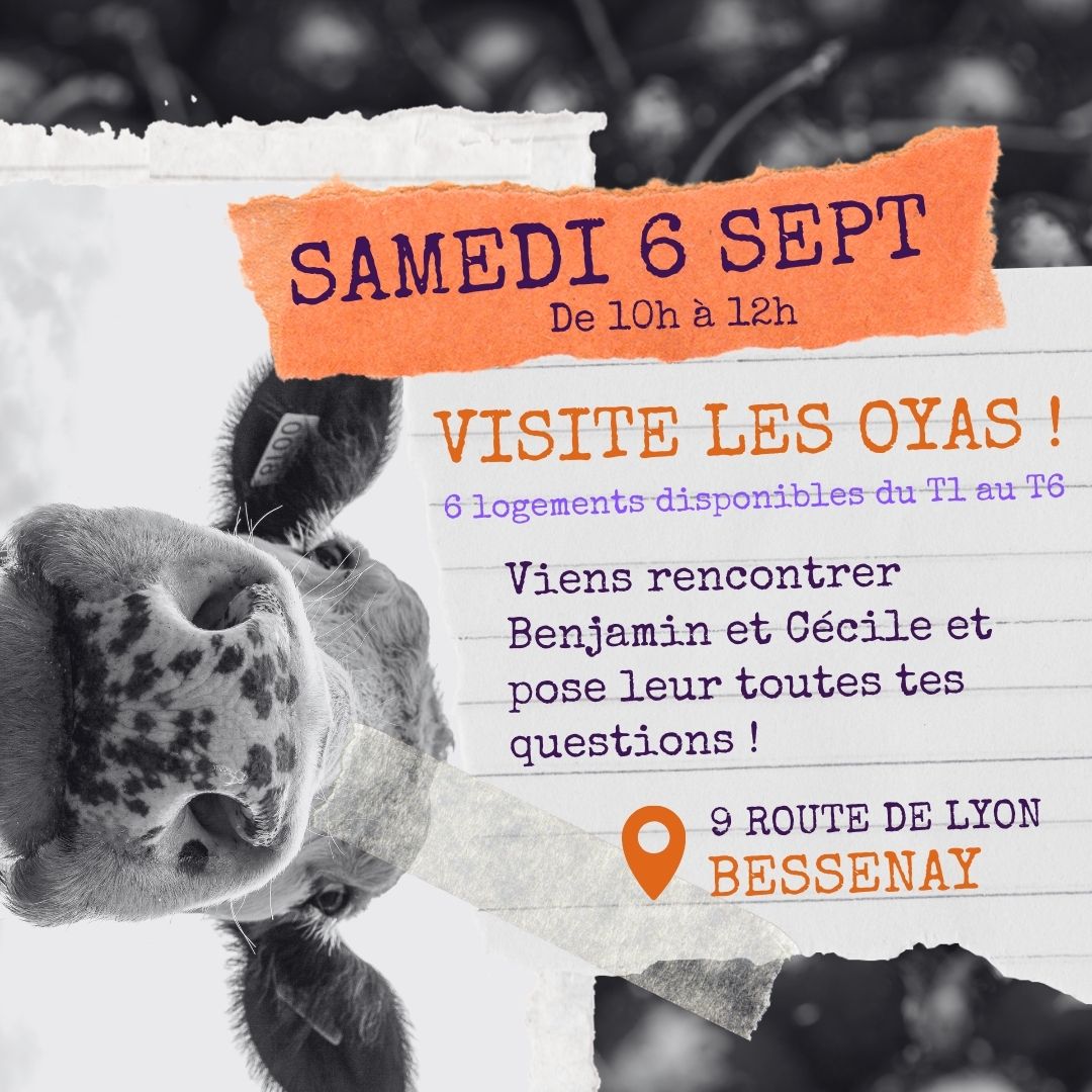 Oyas 6 sept