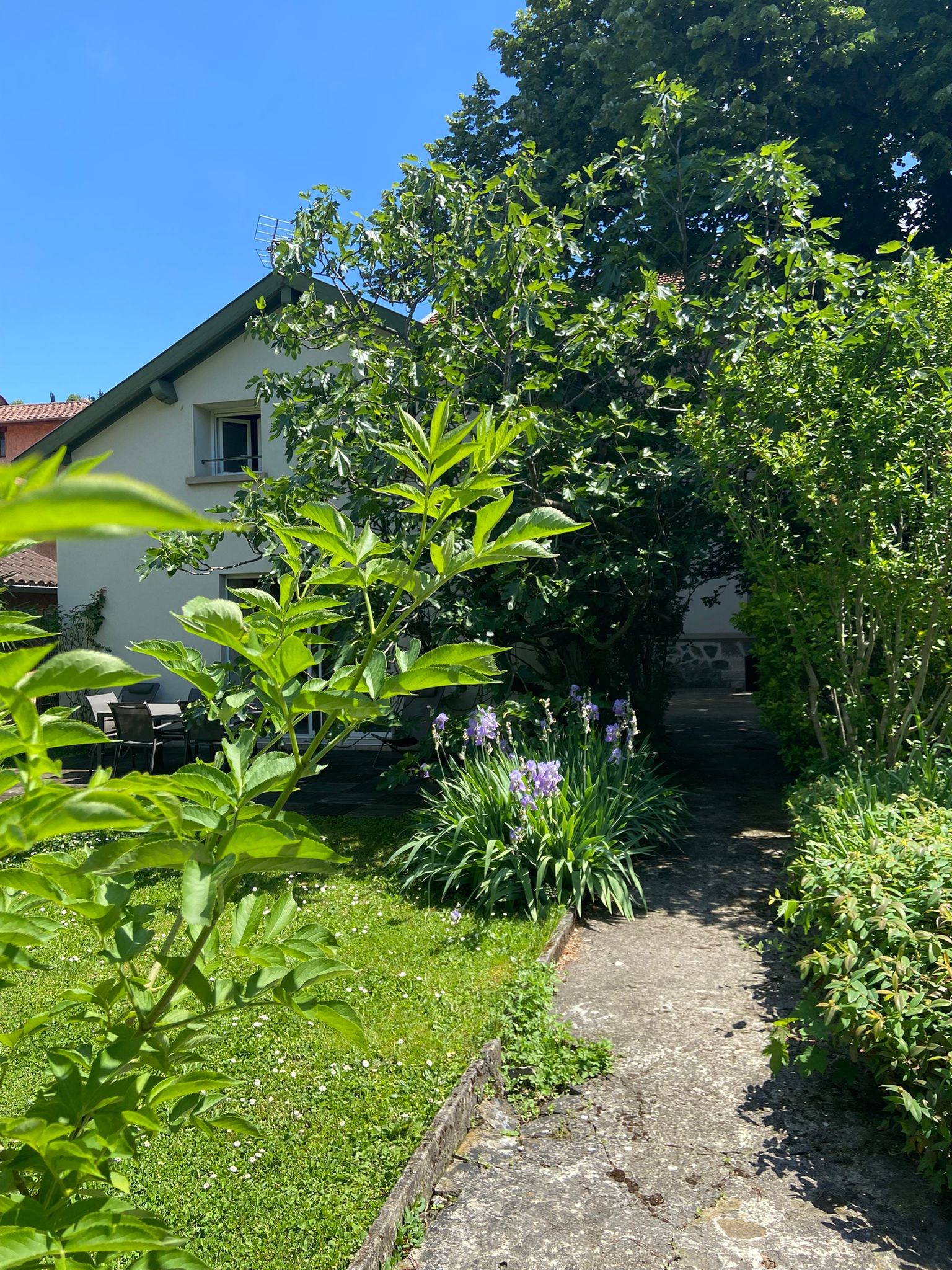 WhatsApp Image 2025-06-18 at 15.44.52 (1)