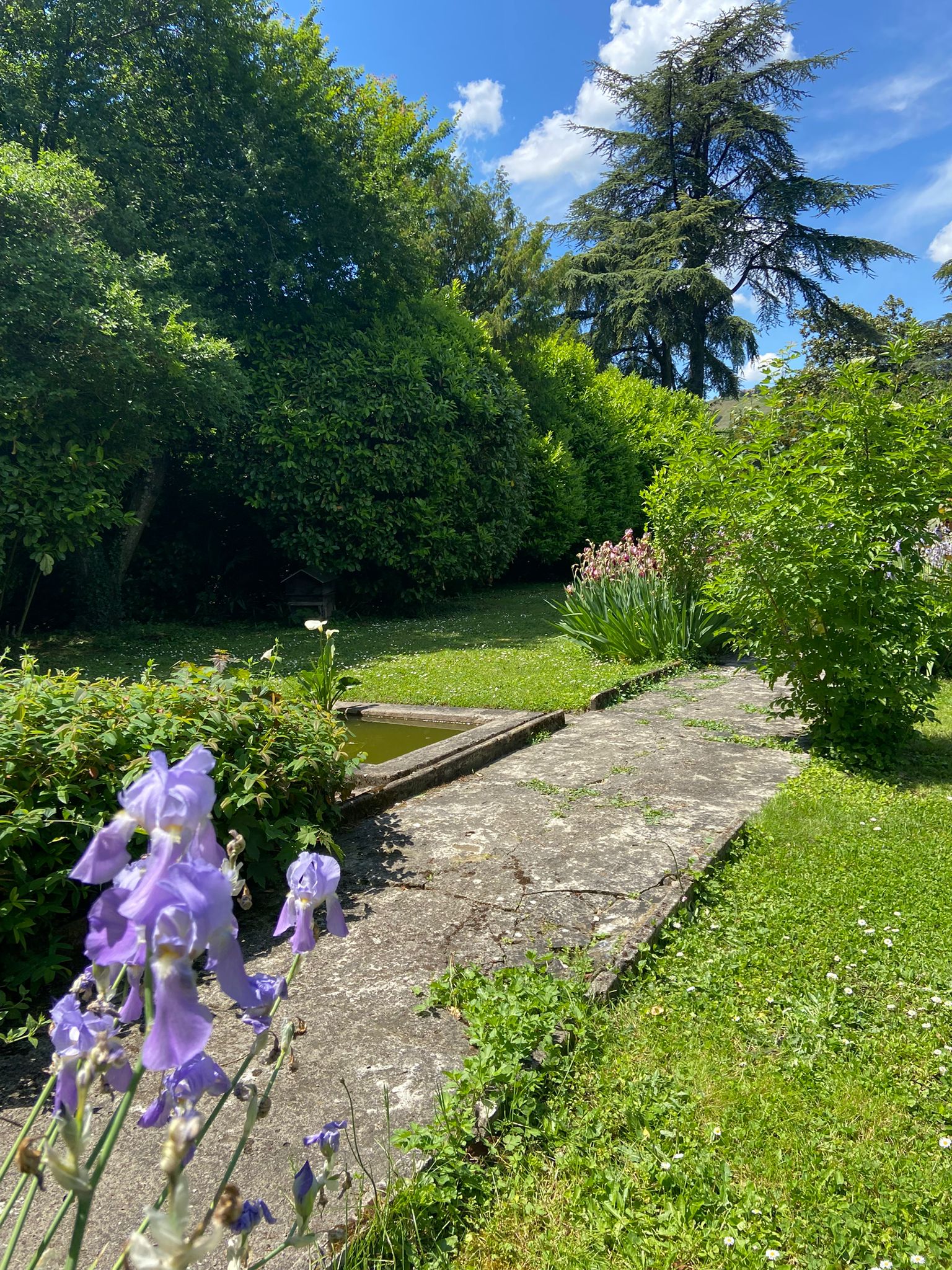 WhatsApp Image 2025-06-18 at 15.44.52 (2)