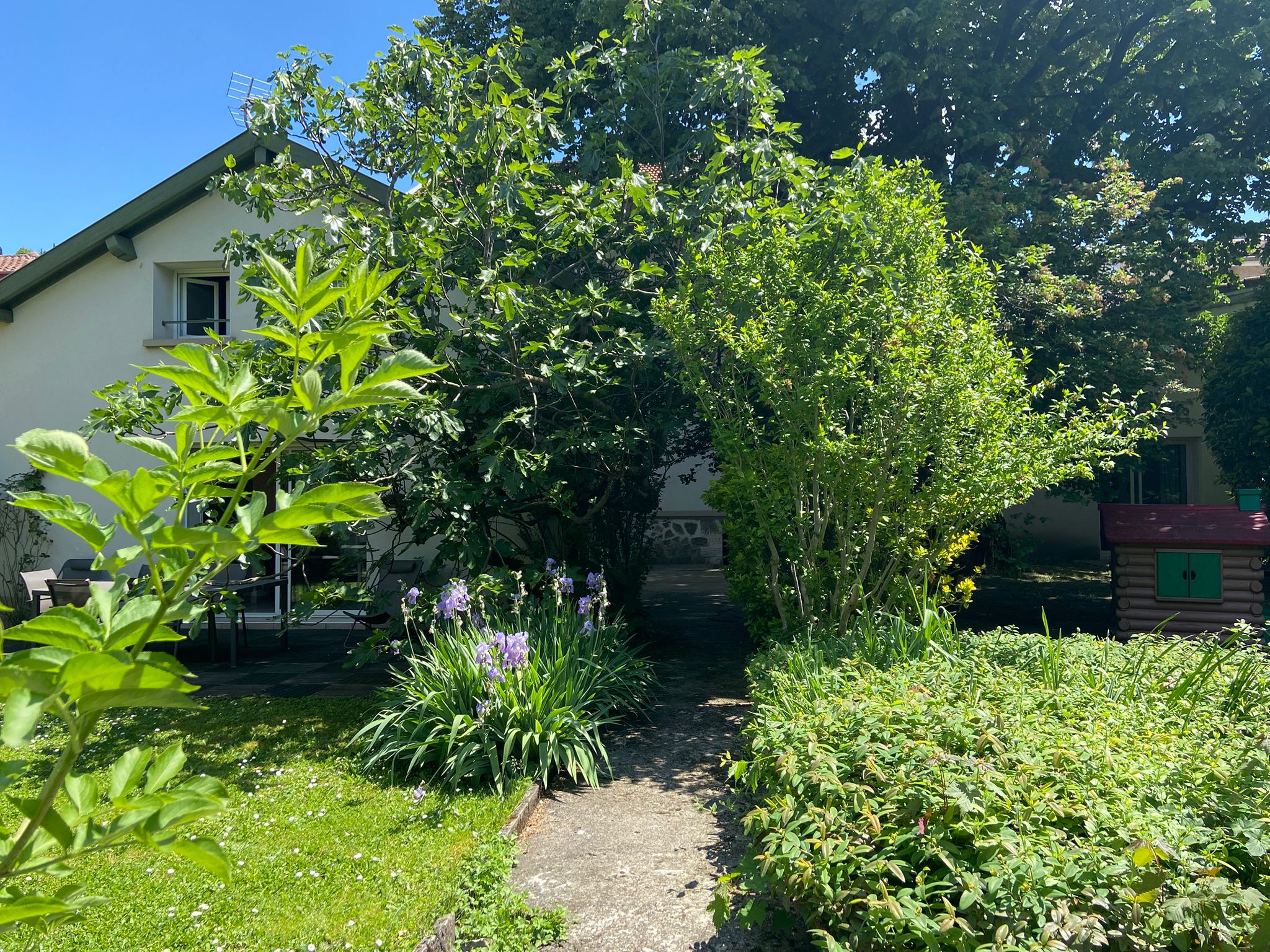 WhatsApp Image 2025-06-18 at 15.44.52